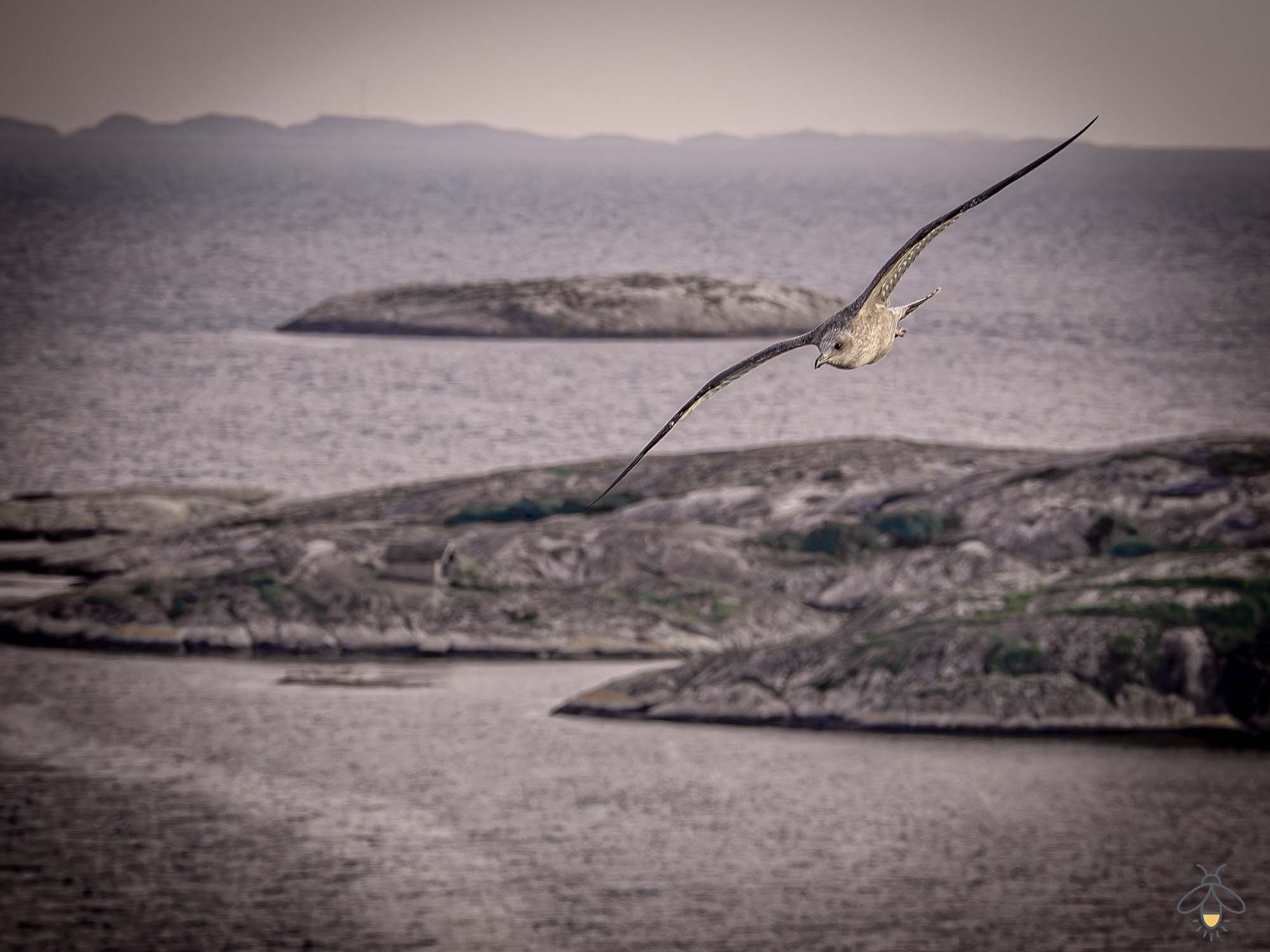 Wind